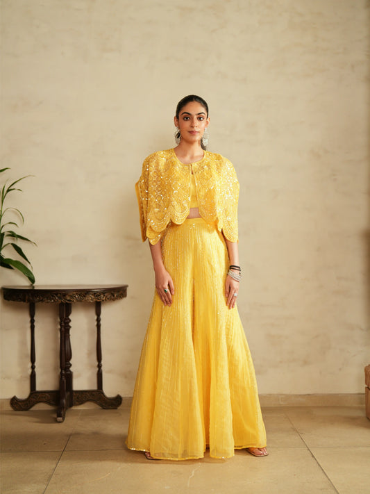 Cape Sharara And Bustier Set - Saisha