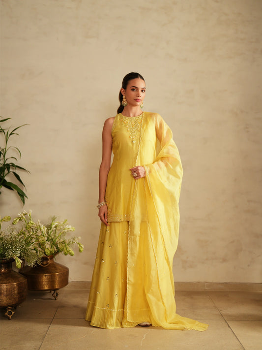 Shirt With Sharara Set - Saisha