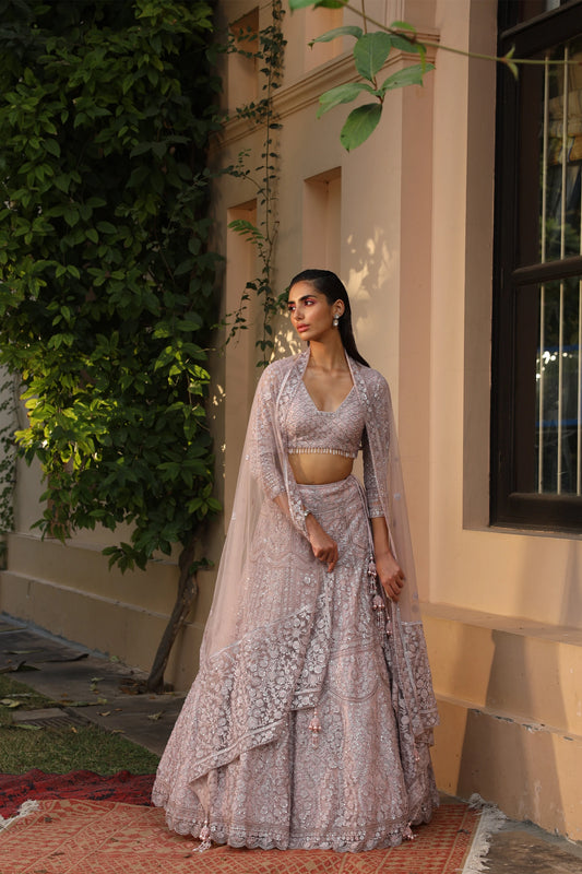 Heavy Embroidered Lehenga Set - Saisha