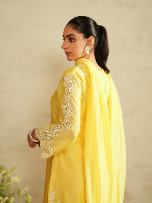 Chanderi Suit With Embroidered Pants And Dupatta